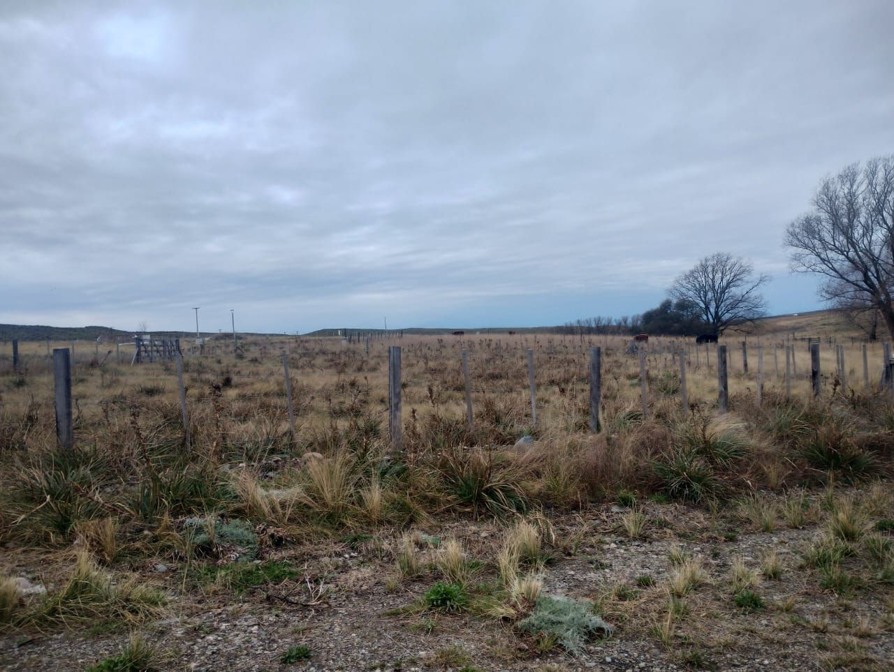 Terreno en Venta en Jardines De Pillahuinco.,  Sierra de  la Ventana - Bahía Blanca Propiedades | SITIO OFICIAL l