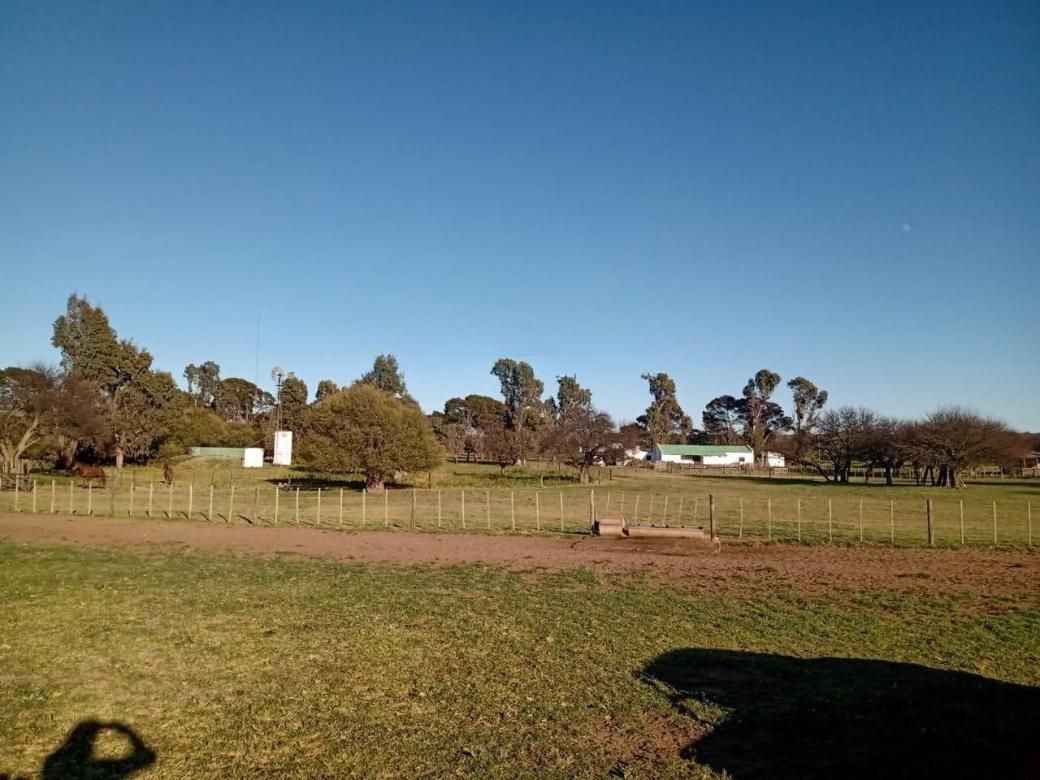 Campo  en Venta en A 18 Kilómetros De Algarrobo,  Villarino - Bahía Blanca Propiedades | SITIO OFICIAL l