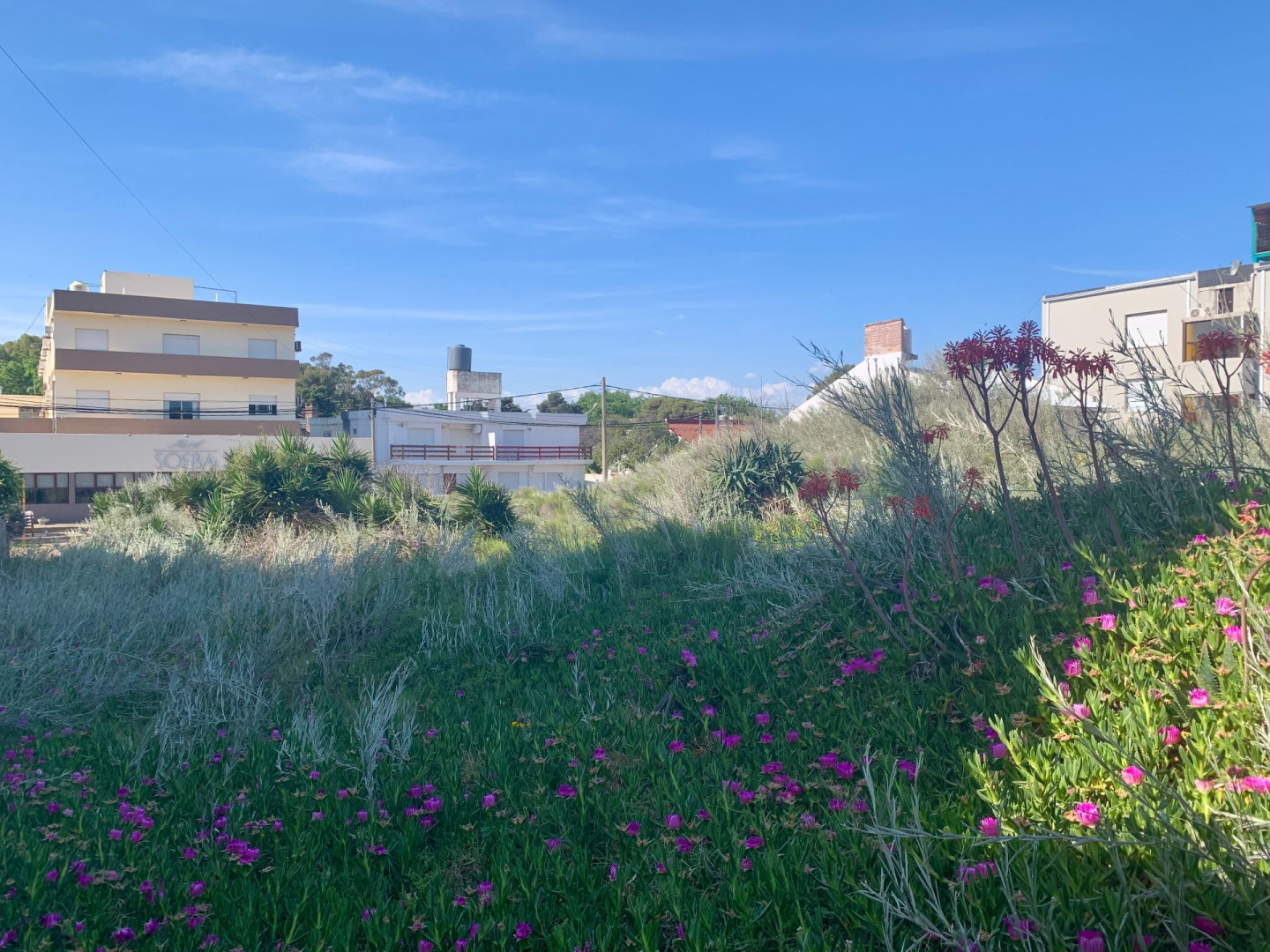 Terreno en Venta en Chascomús 540, Dufaur, Monte Hermoso - Bahía Blanca Propiedades | SITIO OFICIAL l