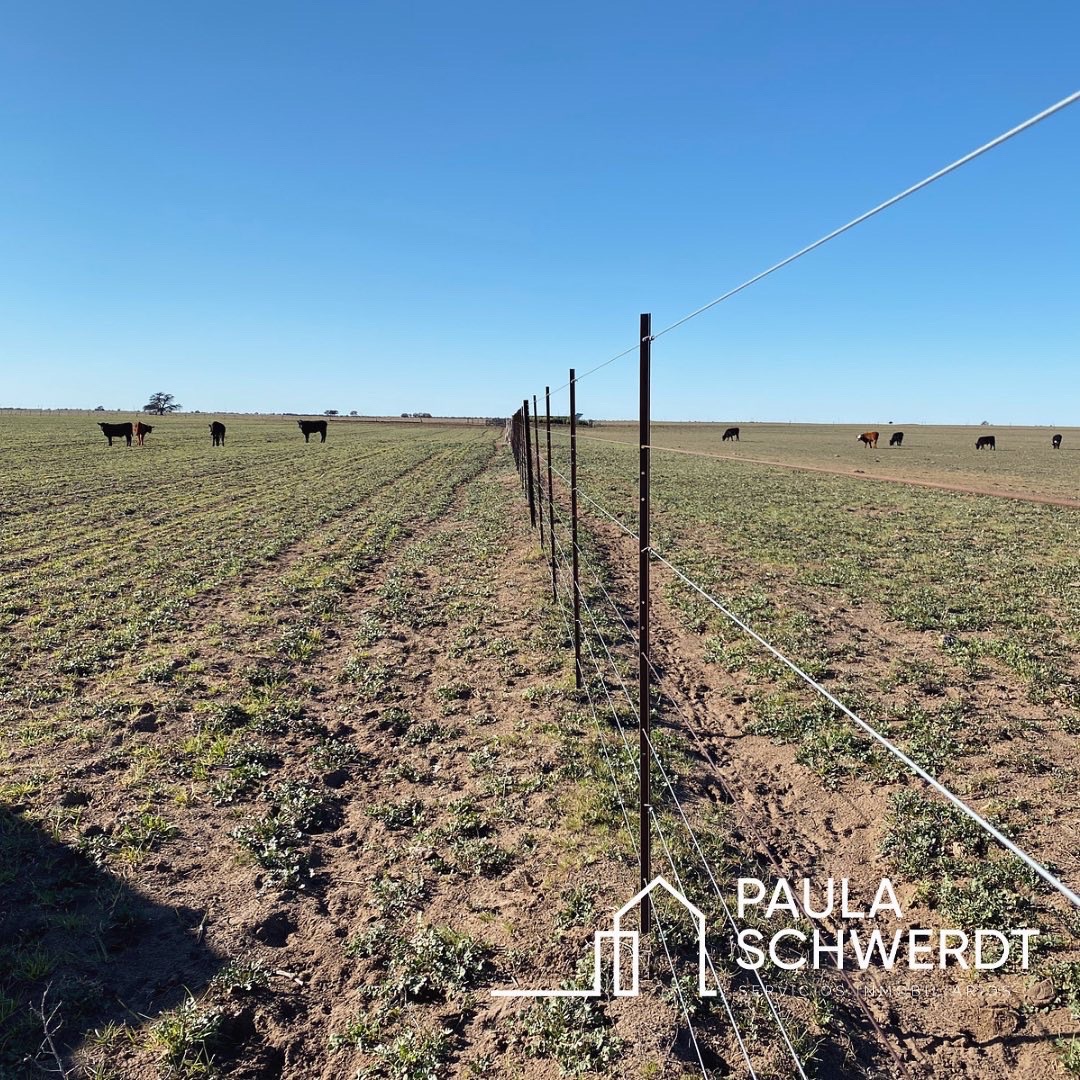 Campo  en Venta   Villarino - Bahía Blanca Propiedades | SITIO OFICIAL l
