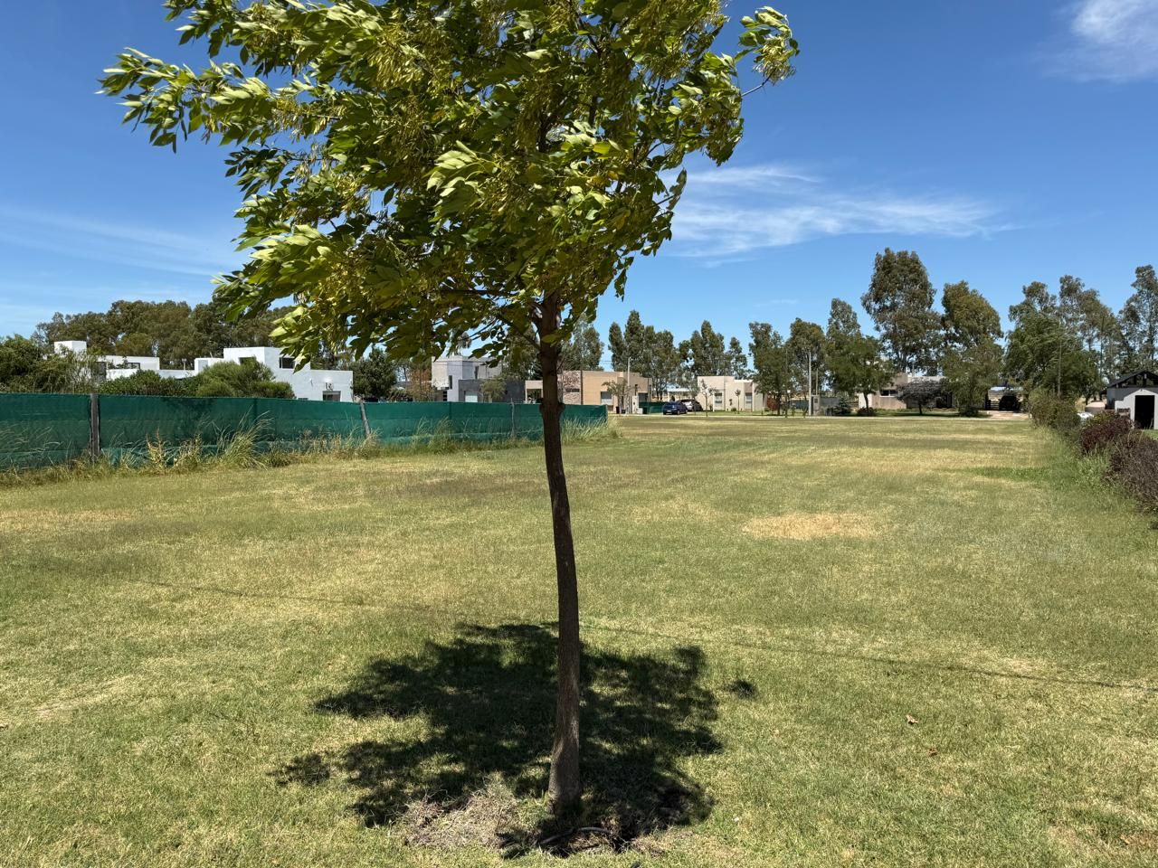 Terreno en Venta  Pago Chico, Bahía Blanca - Bahía Blanca Propiedades | SITIO OFICIAL l