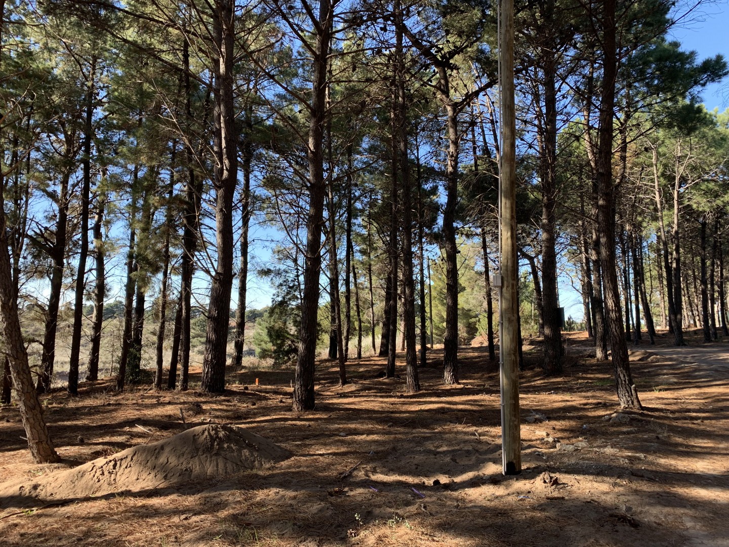Terreno en Venta en Pinar Del Golf,  Monte Hermoso - Bahía Blanca Propiedades | SITIO OFICIAL l