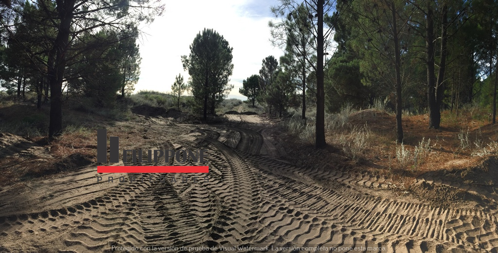 Terreno en Venta   Pehuen Co - Bahía Blanca Propiedades | SITIO OFICIAL l