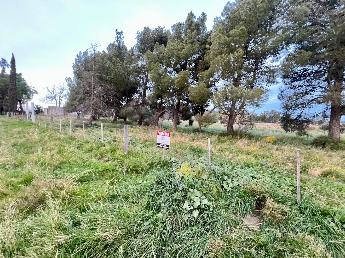 Terreno en Venta en Esteban Rigamonti 1895, Villa Belgrano, Bahía Blanca - Bahía Blanca Propiedades | SITIO OFICIAL l