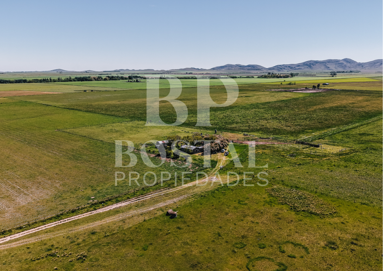 Campo  en Venta en MALVINAS Y TIERRA DEL FUEGO, SAAVEDRA,  Saavedra - Bahía Blanca Propiedades | SITIO OFICIAL l