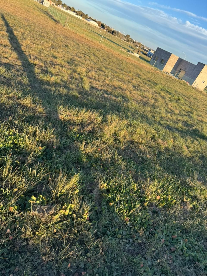 Terreno en Venta en Barba De Chivo 1200,  Bahía Blanca - Bahía Blanca Propiedades | SITIO OFICIAL l