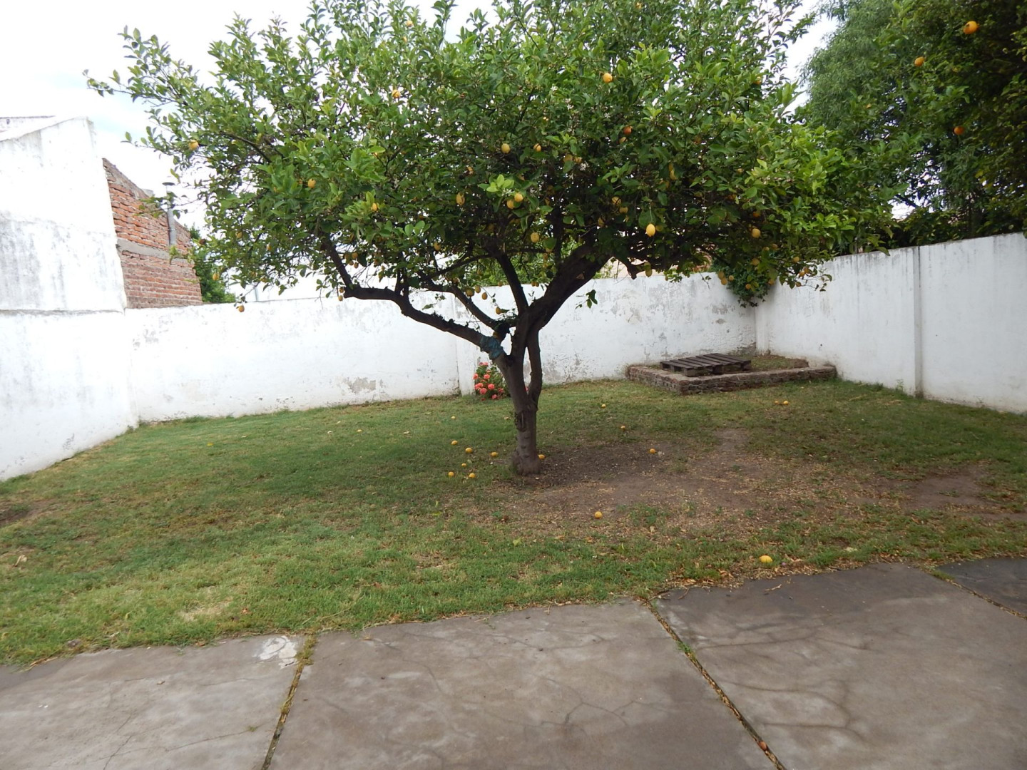 Casa en Venta en Enrique Julio 248,  Bahía Blanca - Bahía Blanca Propiedades | SITIO OFICIAL l