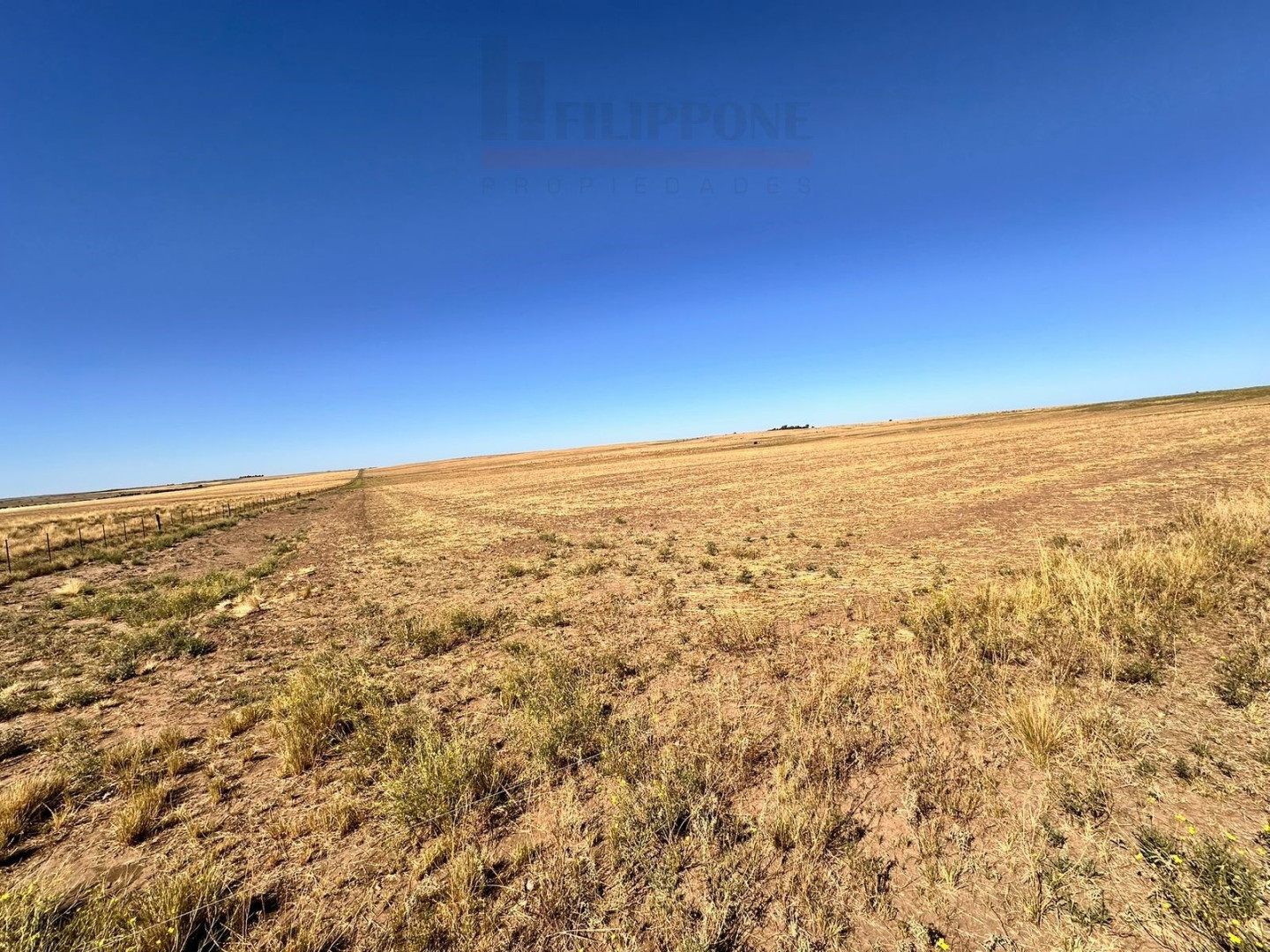 Campo  en Venta en Ruta 35,  Bahía Blanca - Bahía Blanca Propiedades | SITIO OFICIAL l