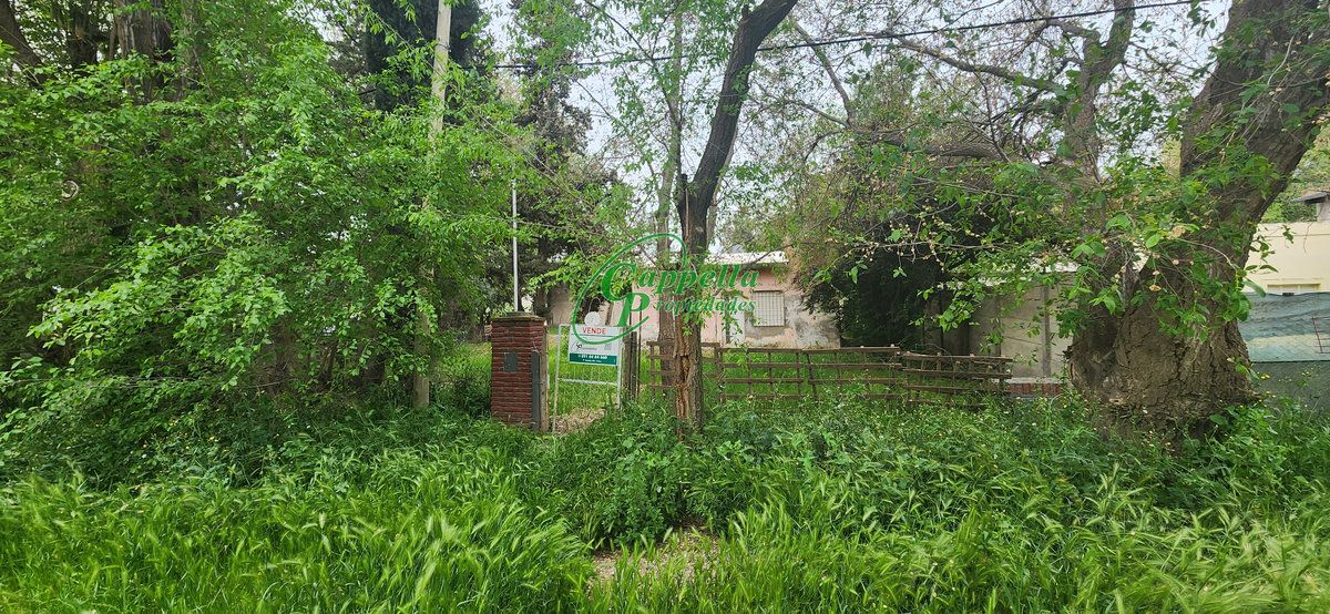 Casa en Venta en Hugony 3191, Los Olivos, Bahía Blanca - Bahía Blanca Propiedades | SITIO OFICIAL l