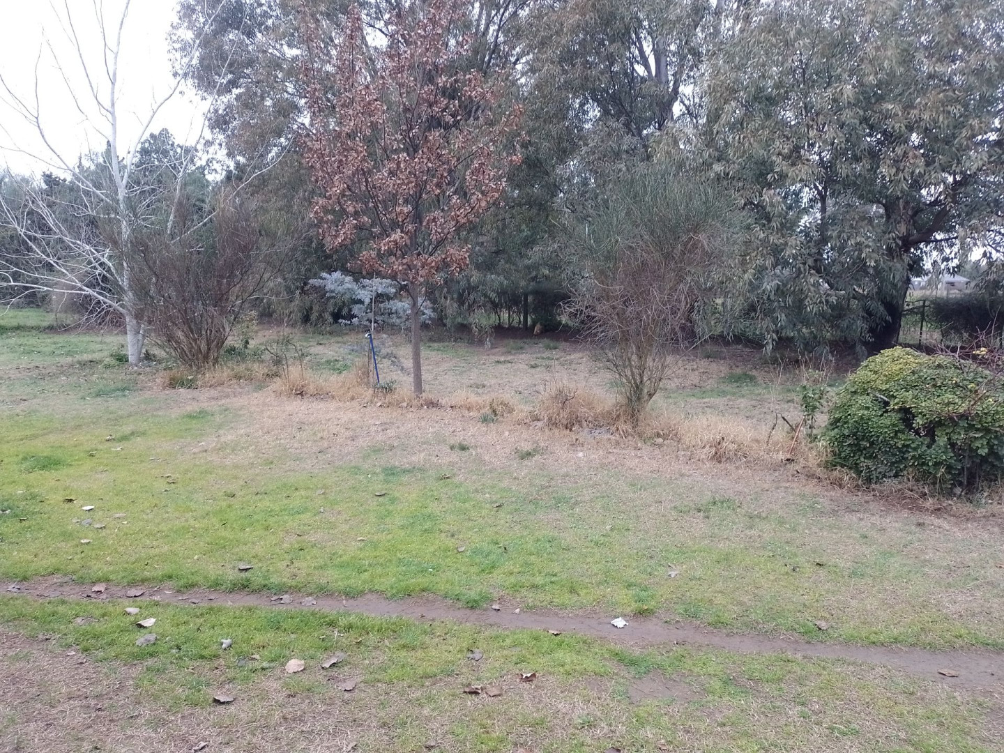 Casa en Venta en Casilda Igarzabal 500, Los Chañares, Bahía Blanca - Bahía Blanca Propiedades | SITIO OFICIAL l