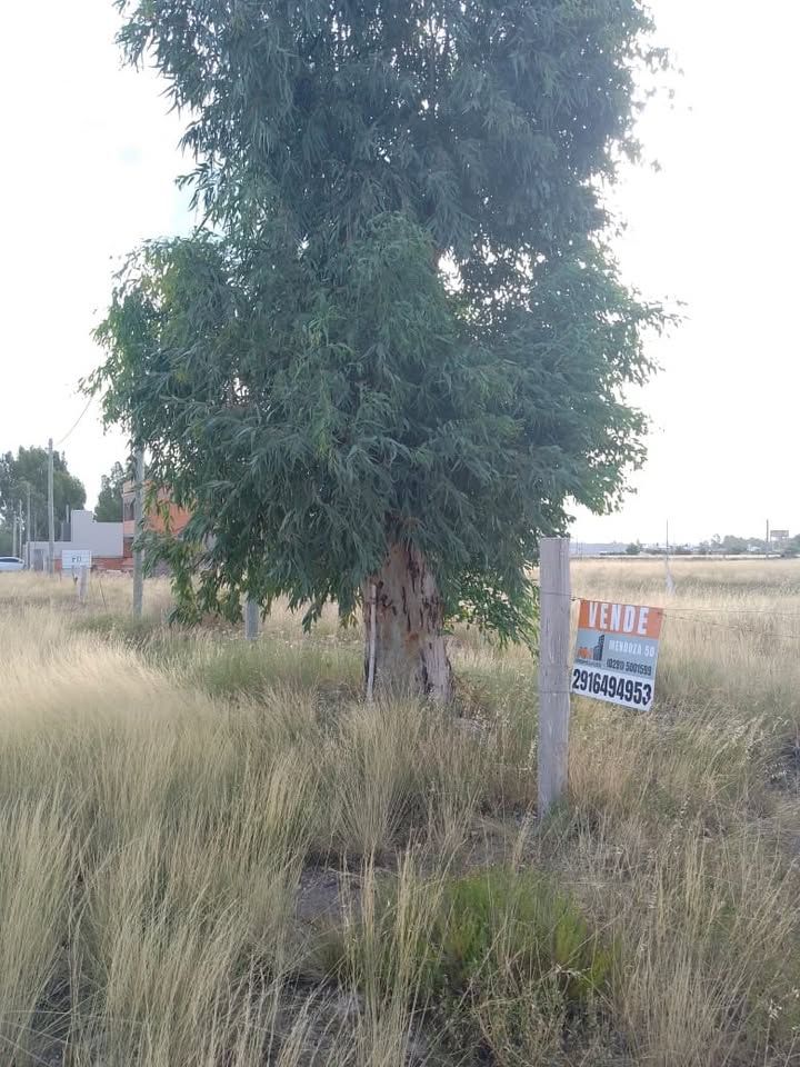 Terreno en Venta en Felipe Varela Y Witcomb,  Bahía Blanca - Bahía Blanca Propiedades | SITIO OFICIAL l