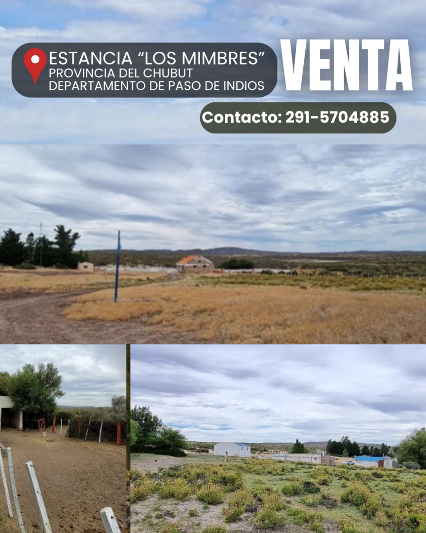 Campo  en Venta en Ruta Provincial 40 ,  Paso de Indios - Chubut - Bahía Blanca Propiedades | SITIO OFICIAL l
