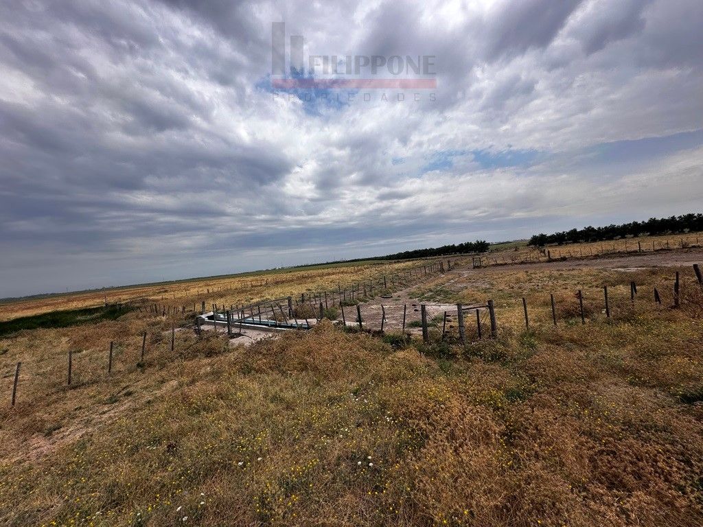 Campo  en Venta en Ruta Nacional 35 Km15,  Bahía Blanca - Bahía Blanca Propiedades | SITIO OFICIAL l