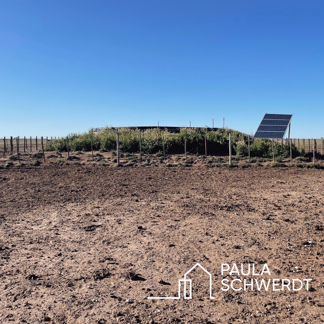 Campo  en Venta   Villarino - Bahía Blanca Propiedades | SITIO OFICIAL l