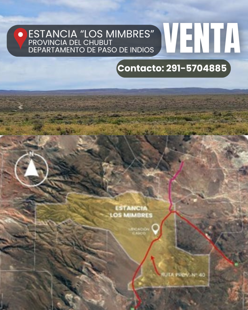 Campo  en Venta en Ruta Provincial 40 ,  Paso de Indios - Chubut - Bahía Blanca Propiedades | SITIO OFICIAL l