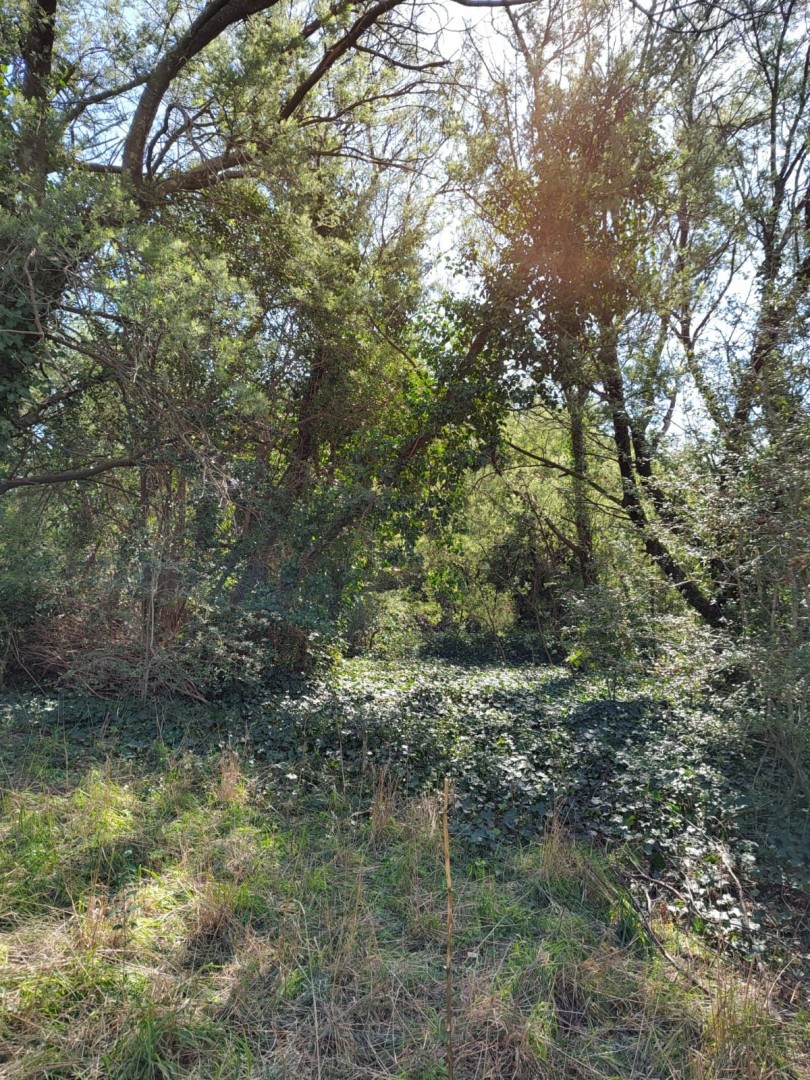 Terreno en Venta en Curamalal Y Churrinche,  Villa Ventana - Bahía Blanca Propiedades | SITIO OFICIAL l