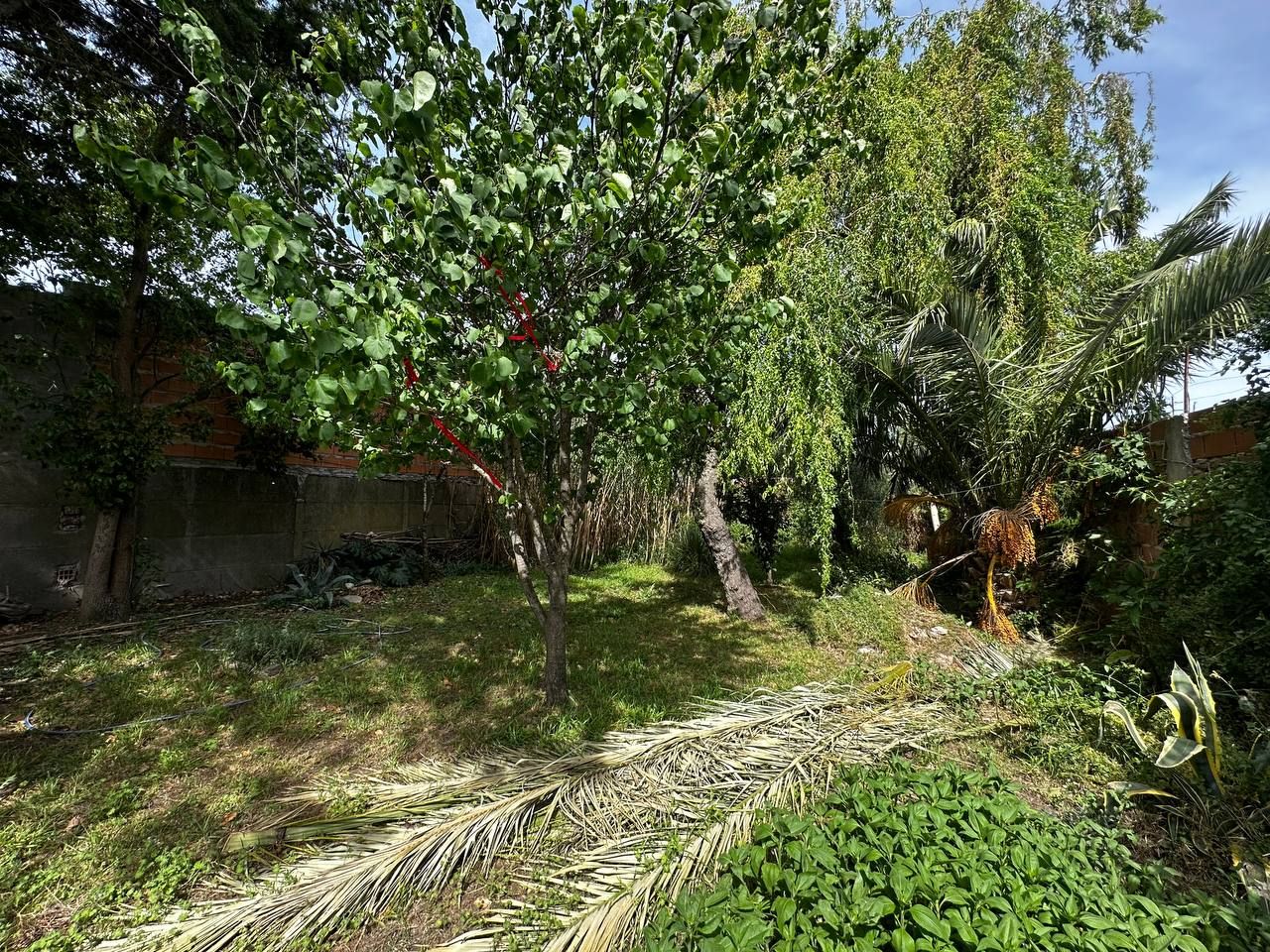 Casa en Venta en TUCUMAN 65,  Tres Arroyos - Bahía Blanca Propiedades | SITIO OFICIAL l