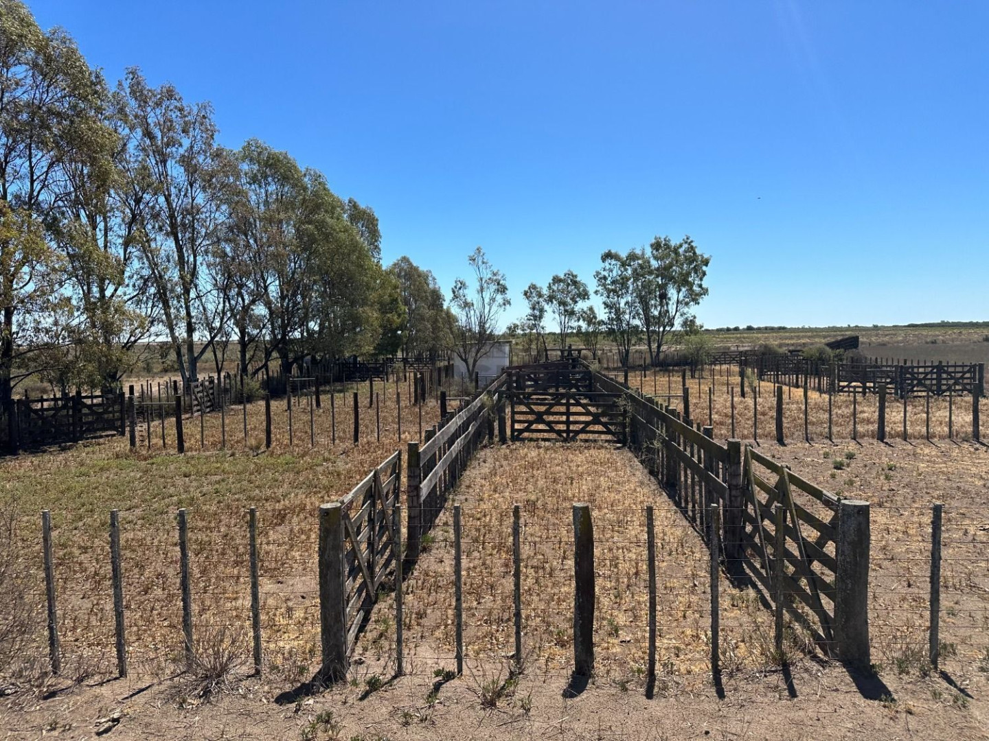 Campo  en Venta en Juan A. Pradere,  Carmen de Patagones - Bahía Blanca Propiedades | SITIO OFICIAL l
