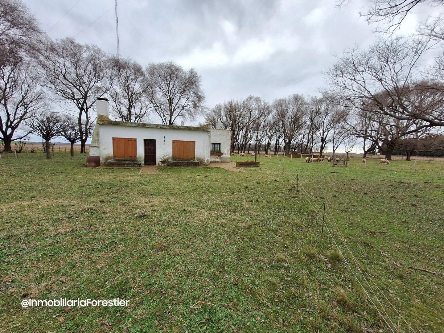 Quinta en Venta   Coronel Suarez - Bahía Blanca Propiedades | SITIO OFICIAL l