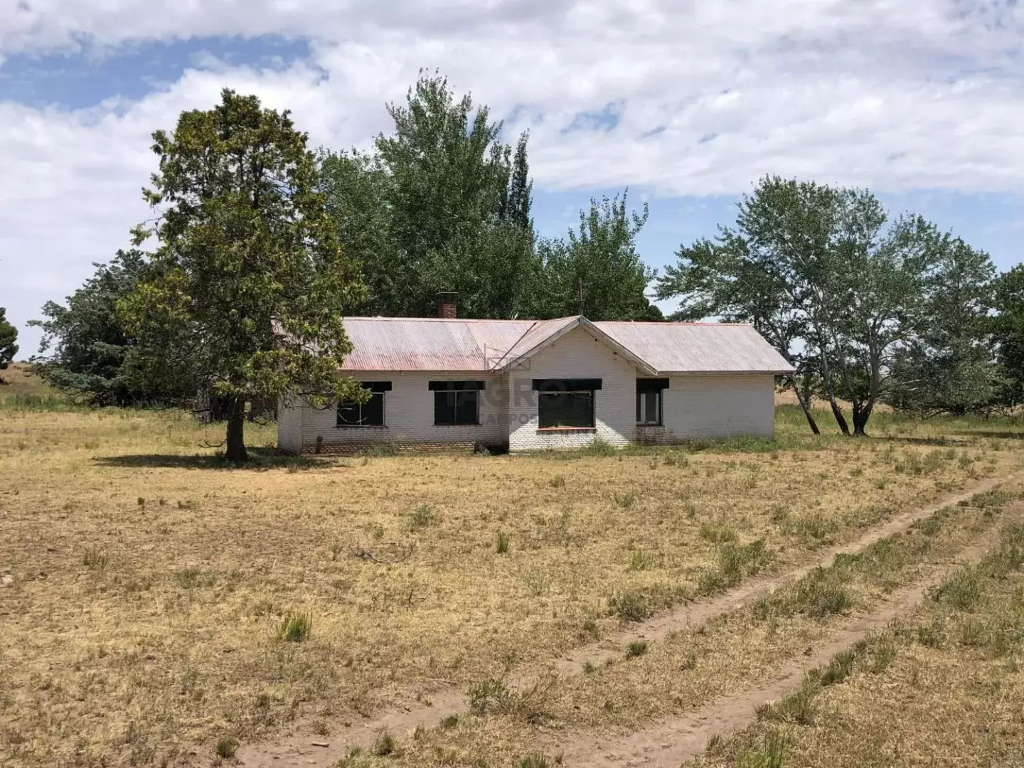 Campo  en Venta en Coronel Pringles,  Coronel Pringles - Bahía Blanca Propiedades | SITIO OFICIAL l