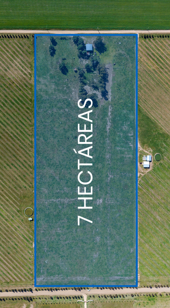 Campo  en Venta   Bahía Blanca - Bahía Blanca Propiedades | SITIO OFICIAL l