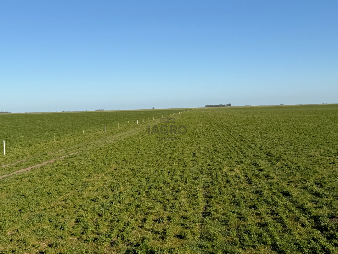 Campo  en Venta en Coronel Dorrego,  Coronel Dorrego - Bahía Blanca Propiedades | SITIO OFICIAL l
