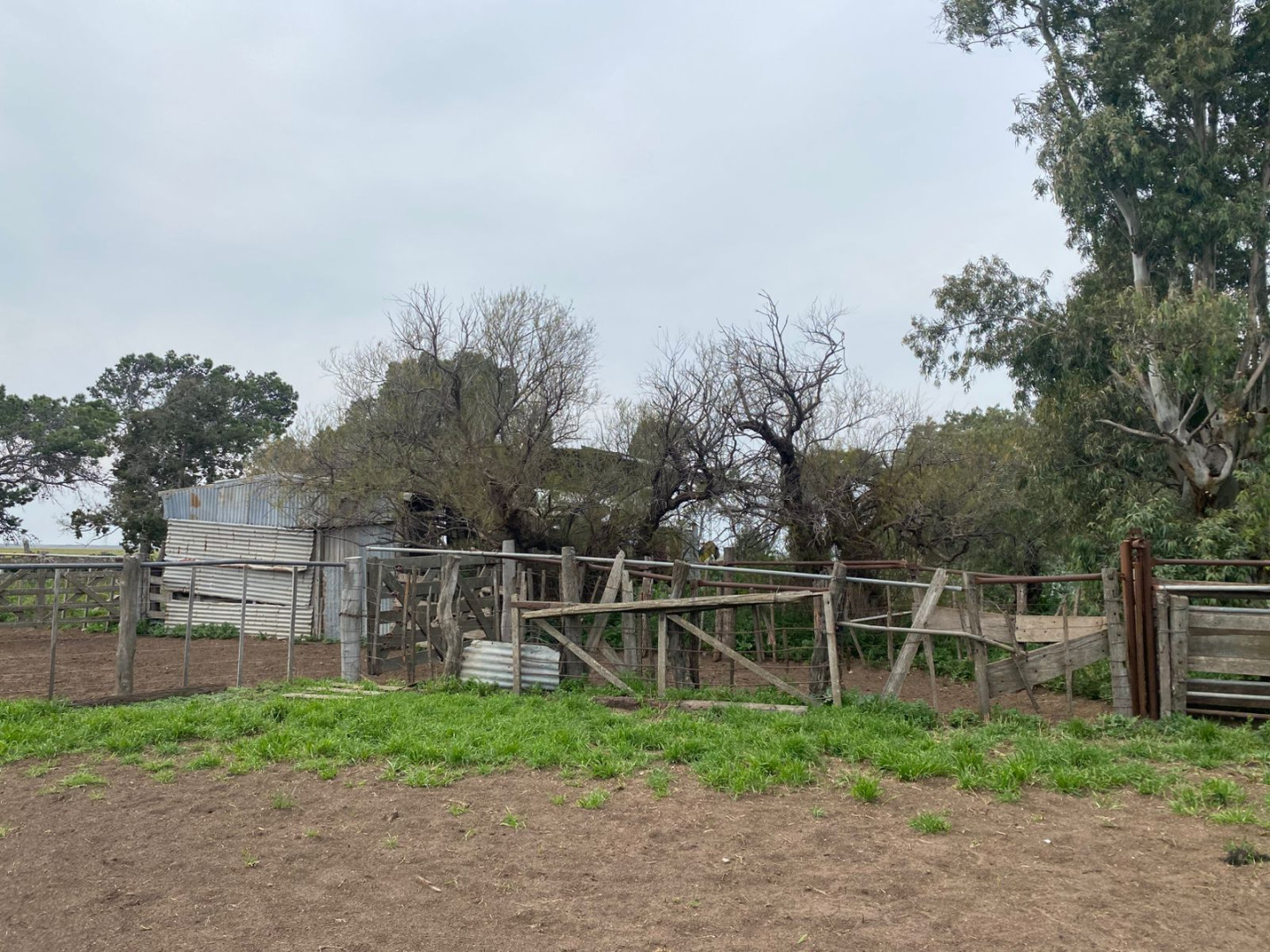 Campo  en Venta   Villarino - Bahía Blanca Propiedades | SITIO OFICIAL l