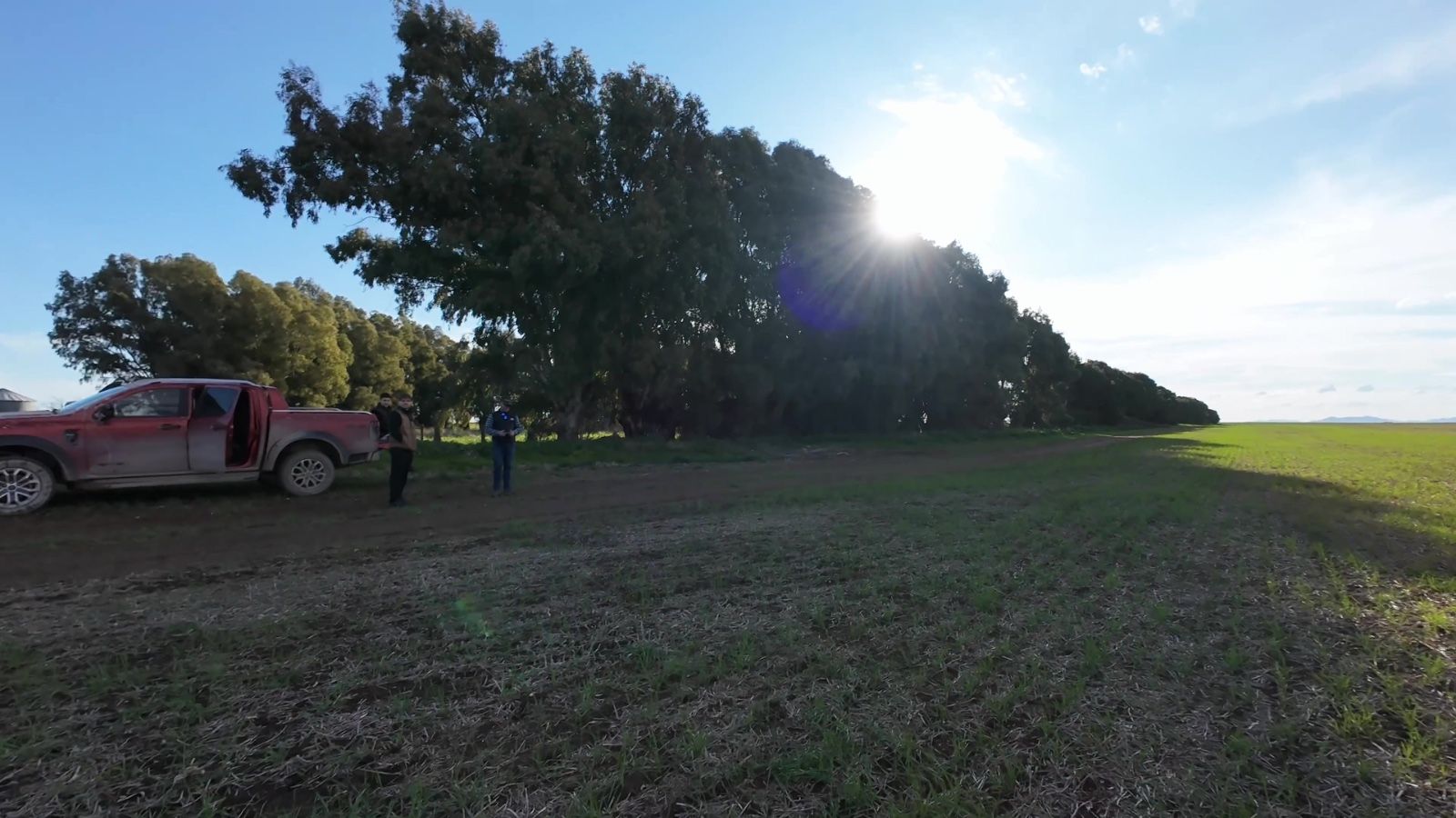 Campo  en Venta   San Romàn - Bahía Blanca Propiedades | SITIO OFICIAL l