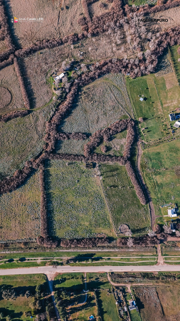 Terreno en Venta en Vera Y Carrindanga, La Carrindanga, Bahía Blanca - Bahía Blanca Propiedades | SITIO OFICIAL l