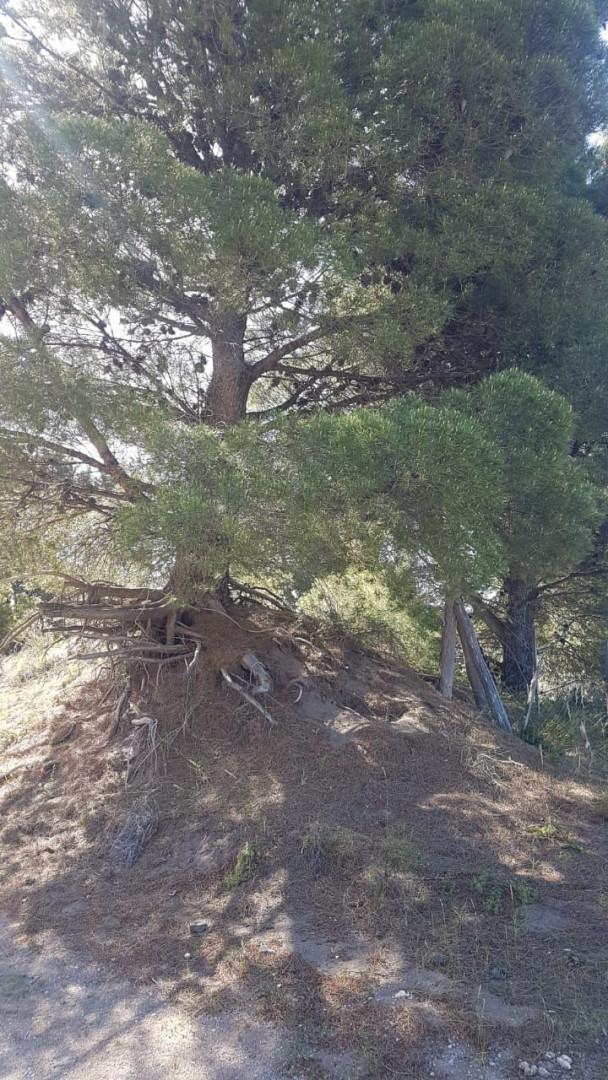 Terreno en Venta en El Sauce, El Sauce, Monte Hermoso - Bahía Blanca Propiedades | SITIO OFICIAL l