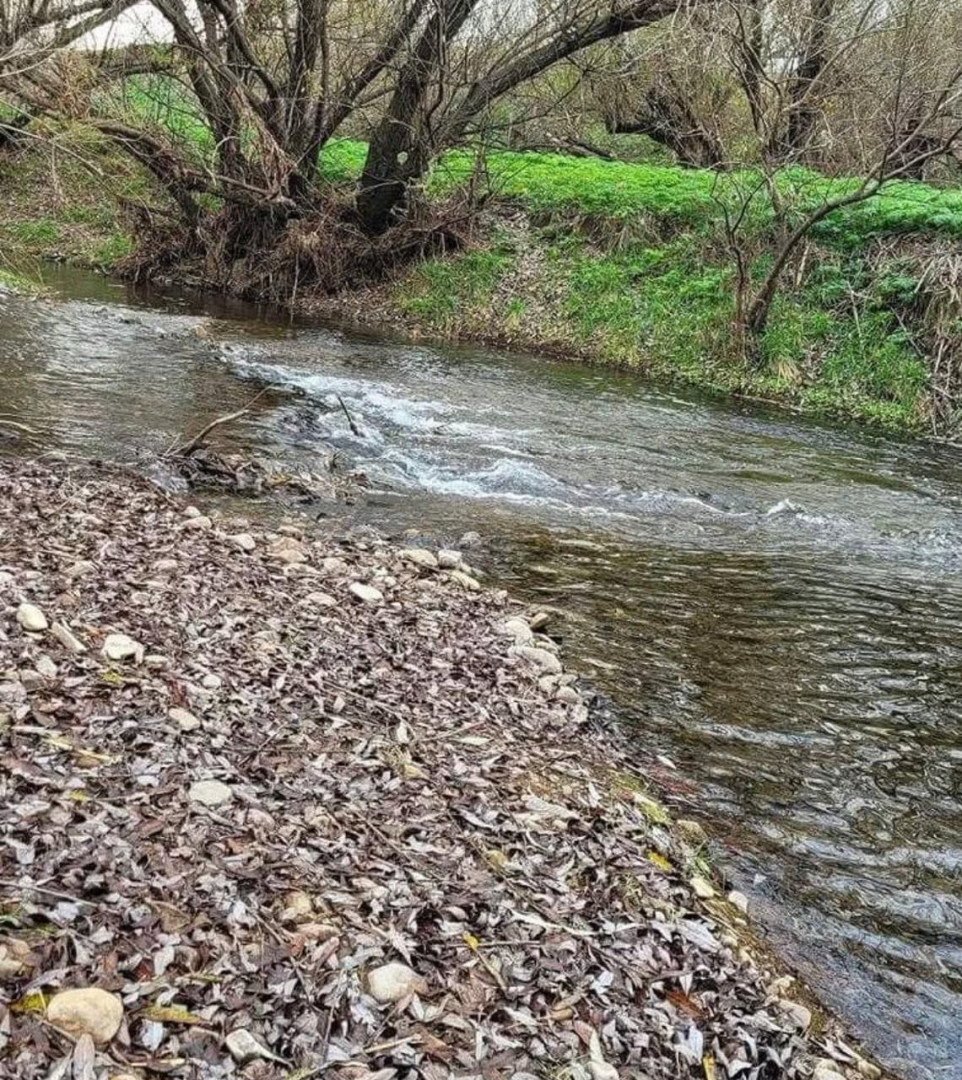 Campo  en Venta en Ruta Nacional 33 Kilometro 78,  Saavedra - Bahía Blanca Propiedades | SITIO OFICIAL l