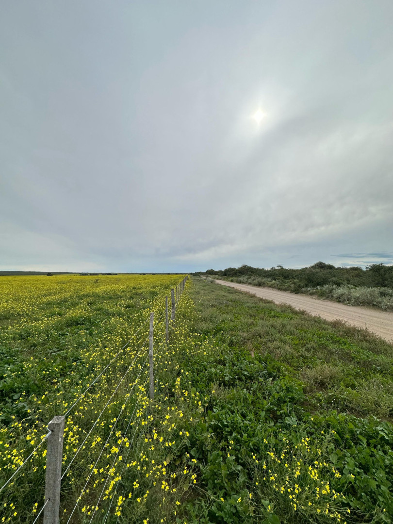 Campo  en Venta   Medanos - Bahía Blanca Propiedades | SITIO OFICIAL l