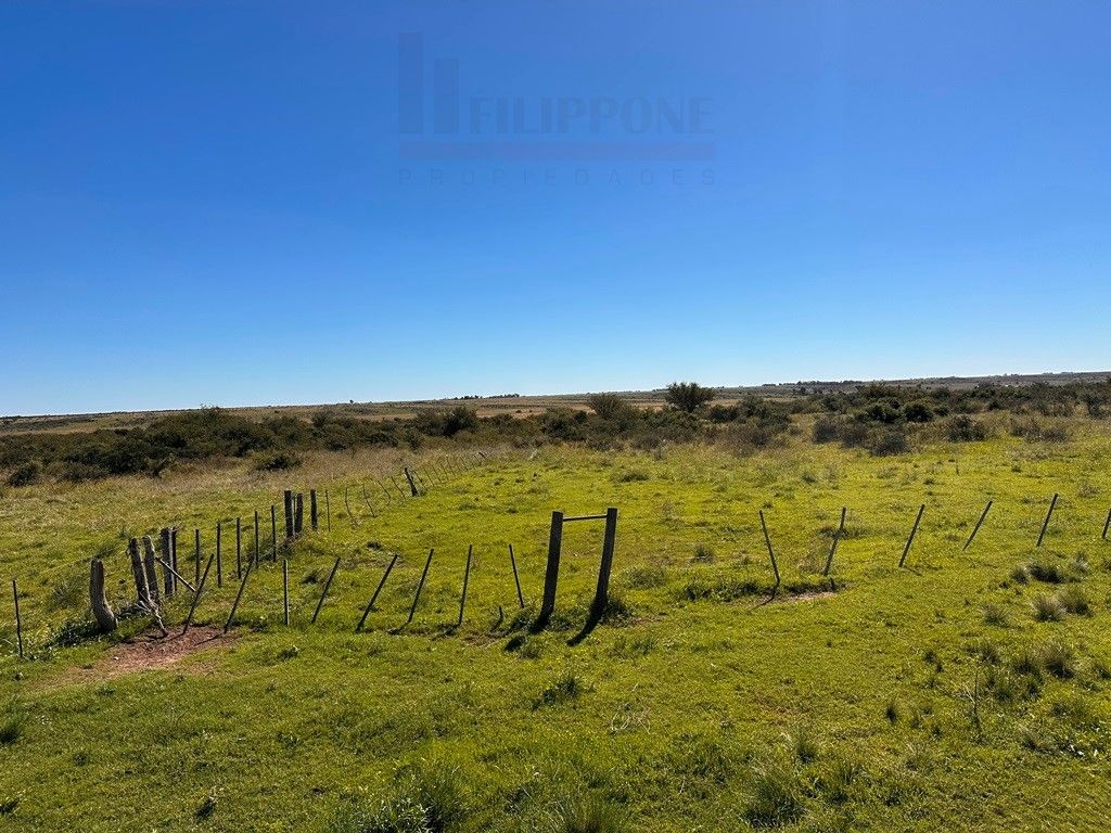 Campo  en Venta en Ruta 35 - Bahía Blanca Propiedades | SITIO OFICIAL l