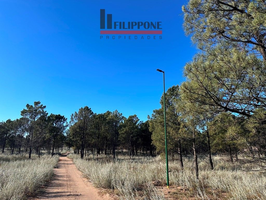 Terreno en Venta   Pehuen Co - Bahía Blanca Propiedades | SITIO OFICIAL l