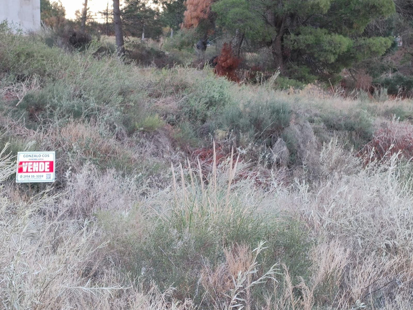 Terreno en Venta en Las Martinetas Esquina Las Urracas, Pinar del Golf, Monte Hermoso - Bahía Blanca Propiedades | SITIO OFICIAL l