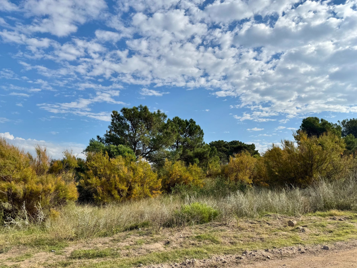 Terreno en Venta en Flamencos Y Martinetas, Monte del Este, Monte Hermoso - Bahía Blanca Propiedades | SITIO OFICIAL l