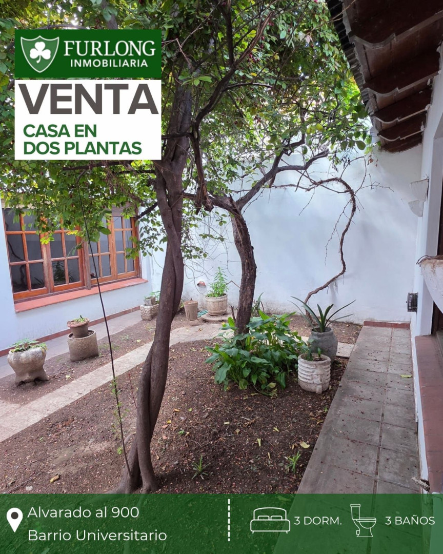 Casa en Venta en Alvarado 990, Universitario, Bahía Blanca - Bahía Blanca Propiedades | SITIO OFICIAL l