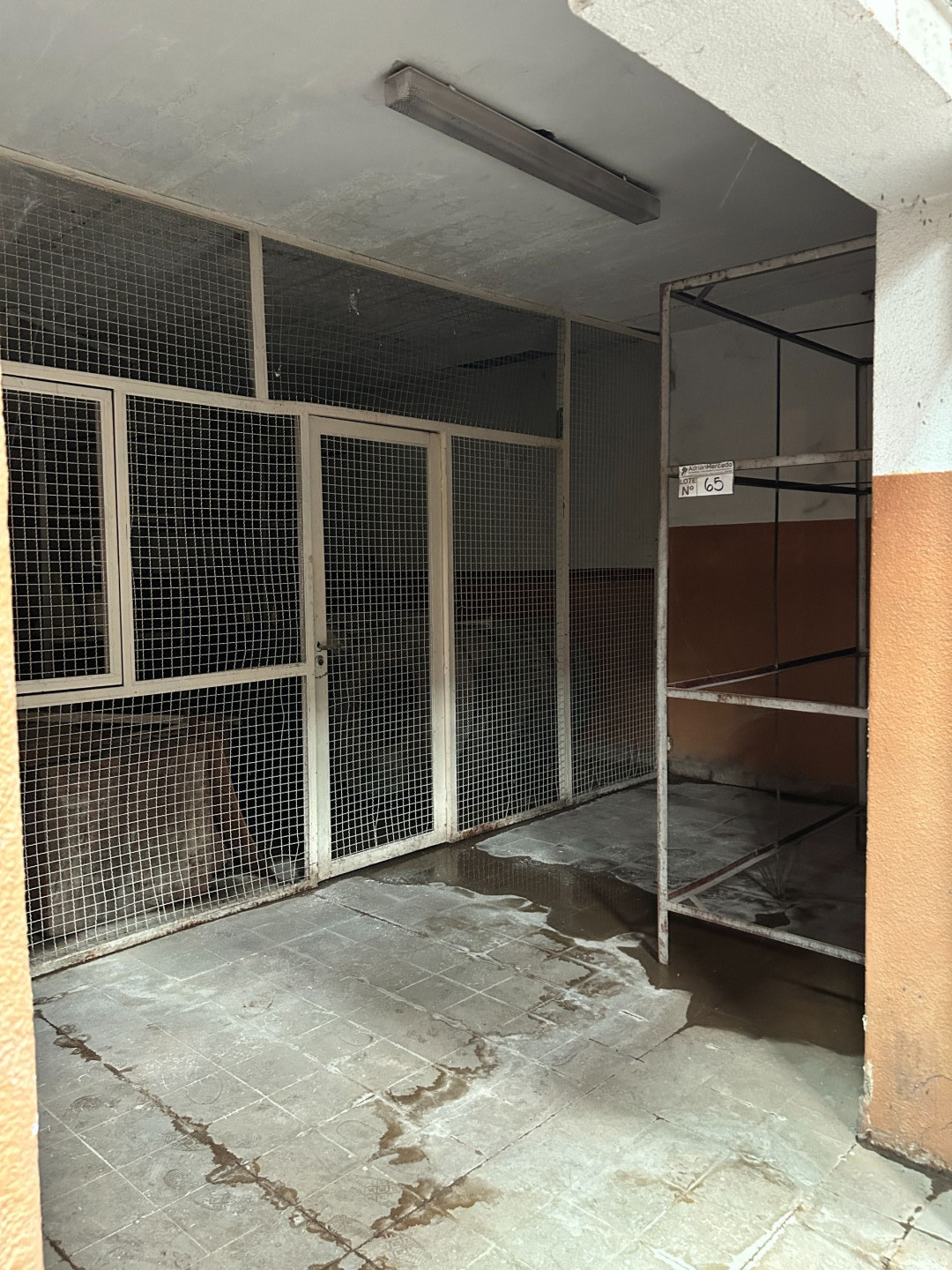 Galpón en Venta en Colón 1800,  Bahía Blanca - Bahía Blanca Propiedades | SITIO OFICIAL l