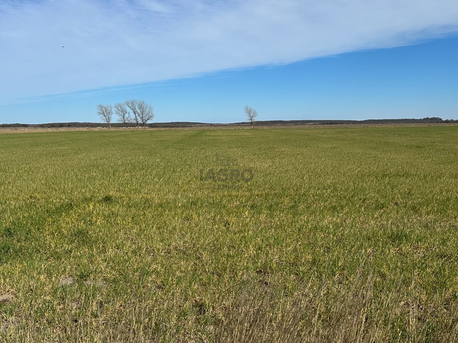 Campo  en Venta en Pedro Luro,  Pedro Luro - Bahía Blanca Propiedades | SITIO OFICIAL l