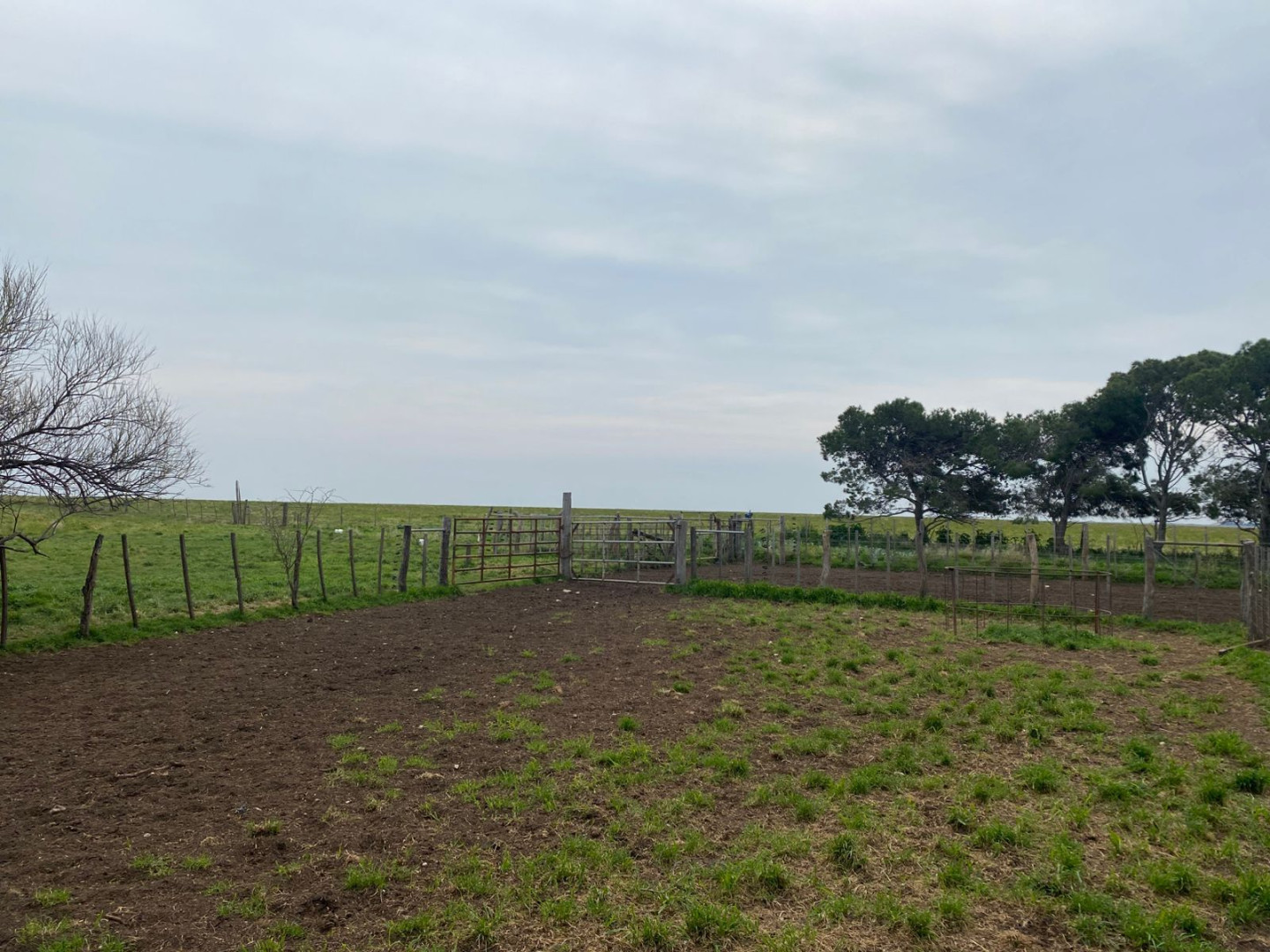 Campo  en Venta   Villarino - Bahía Blanca Propiedades | SITIO OFICIAL l