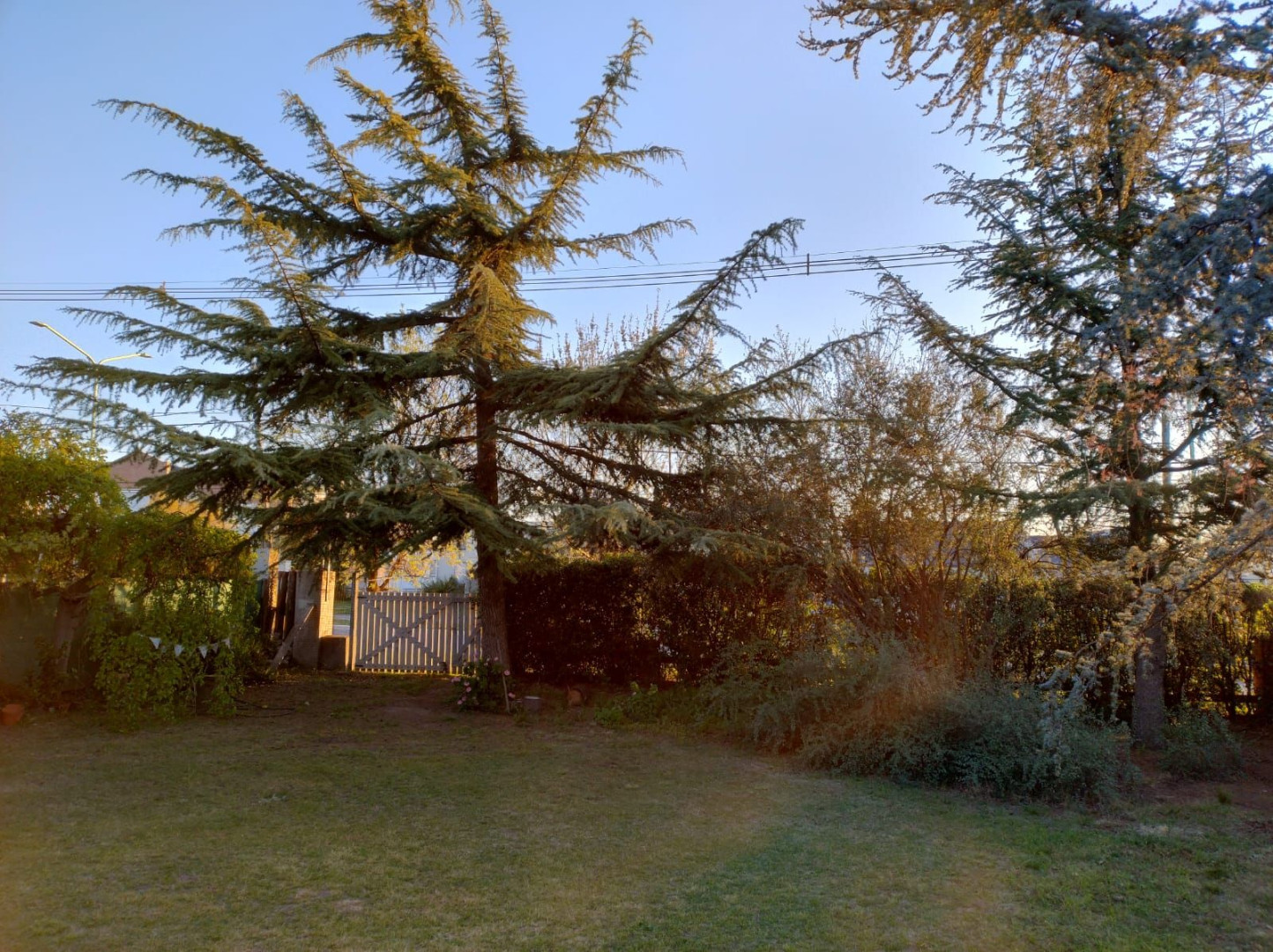 Casa en Venta en Pilmaiquen 800, Patagonia, Bahía Blanca - Bahía Blanca Propiedades | SITIO OFICIAL l