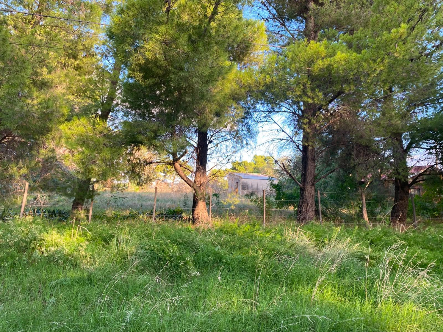 Terreno en Venta en Paula Albarracin 390, Los Chañares, Bahía Blanca - Bahía Blanca Propiedades | SITIO OFICIAL l