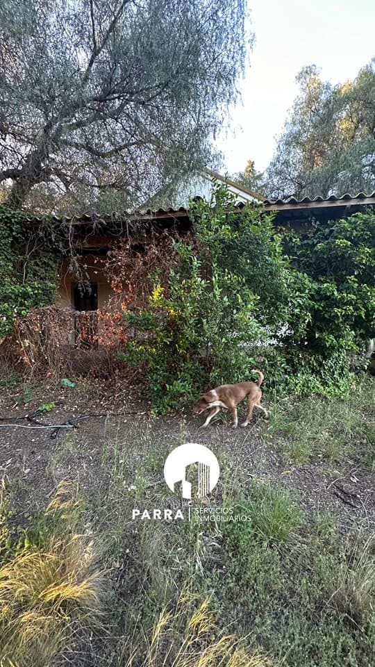 Casa en Venta en Lattanzio 2100 ,  Bahía Blanca - Bahía Blanca Propiedades | SITIO OFICIAL l