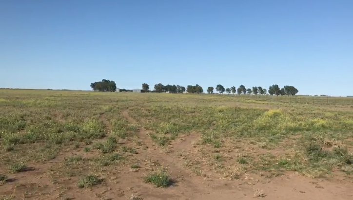 Campo  en Venta   Puan - Bahía Blanca Propiedades | SITIO OFICIAL l