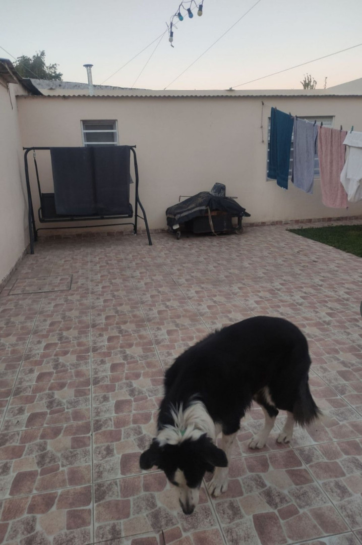 Casa en Venta en Beruti 1500,  Bahía Blanca - Bahía Blanca Propiedades | SITIO OFICIAL l