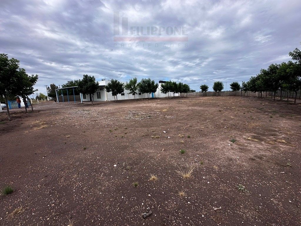Terreno en Venta en Acceso A La Adela,  La Pampa - Bahía Blanca Propiedades | SITIO OFICIAL l