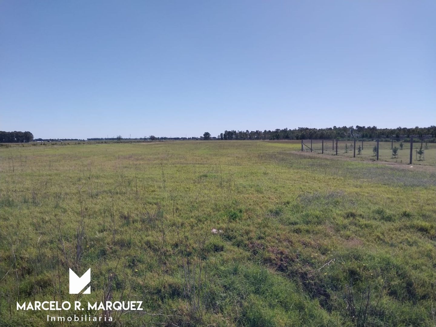 Terreno en Venta   Coronel Dorrego - Bahía Blanca Propiedades | SITIO OFICIAL l