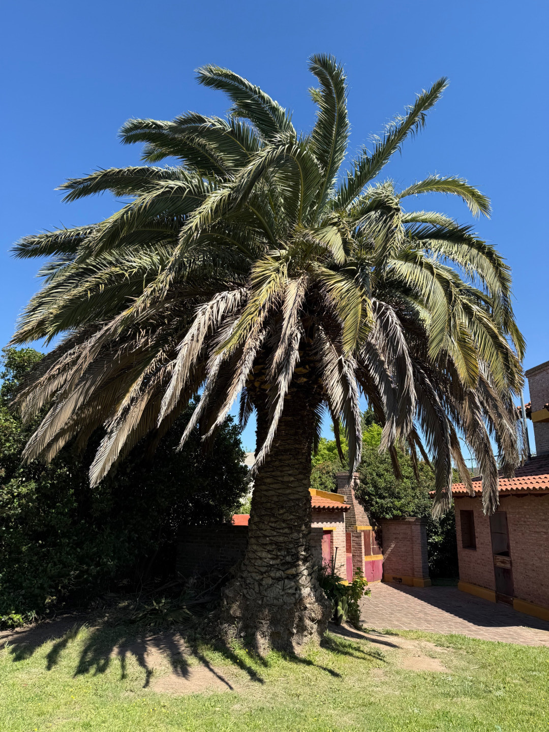 Casa en Venta  Pago Chico, Bahía Blanca - Bahía Blanca Propiedades | SITIO OFICIAL l