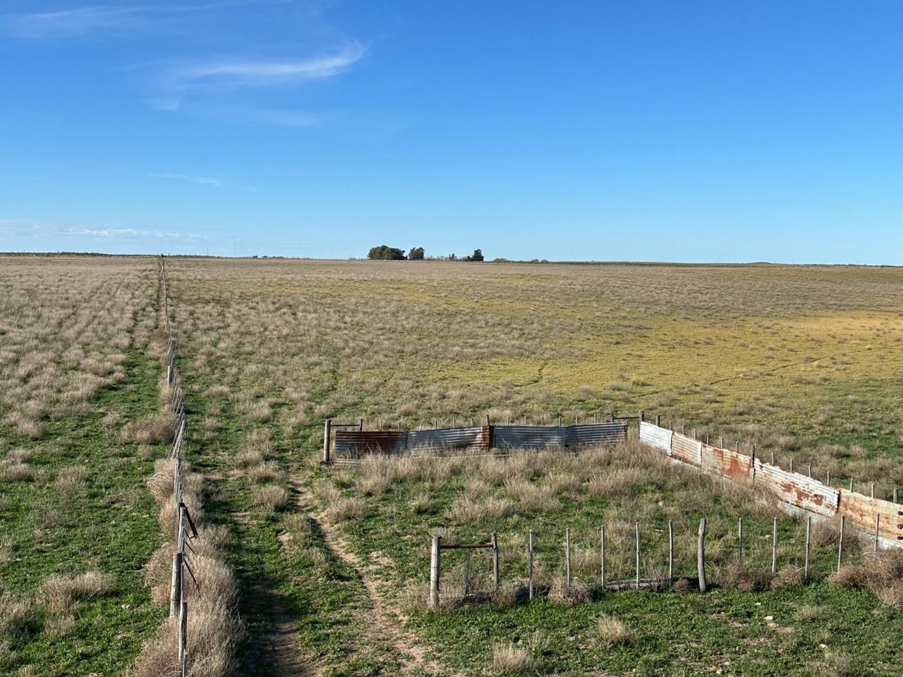 Campo  en Venta en A 4 Kilómetros De La Ruta 3.,  Teniente Origone - Bahía Blanca Propiedades | SITIO OFICIAL l
