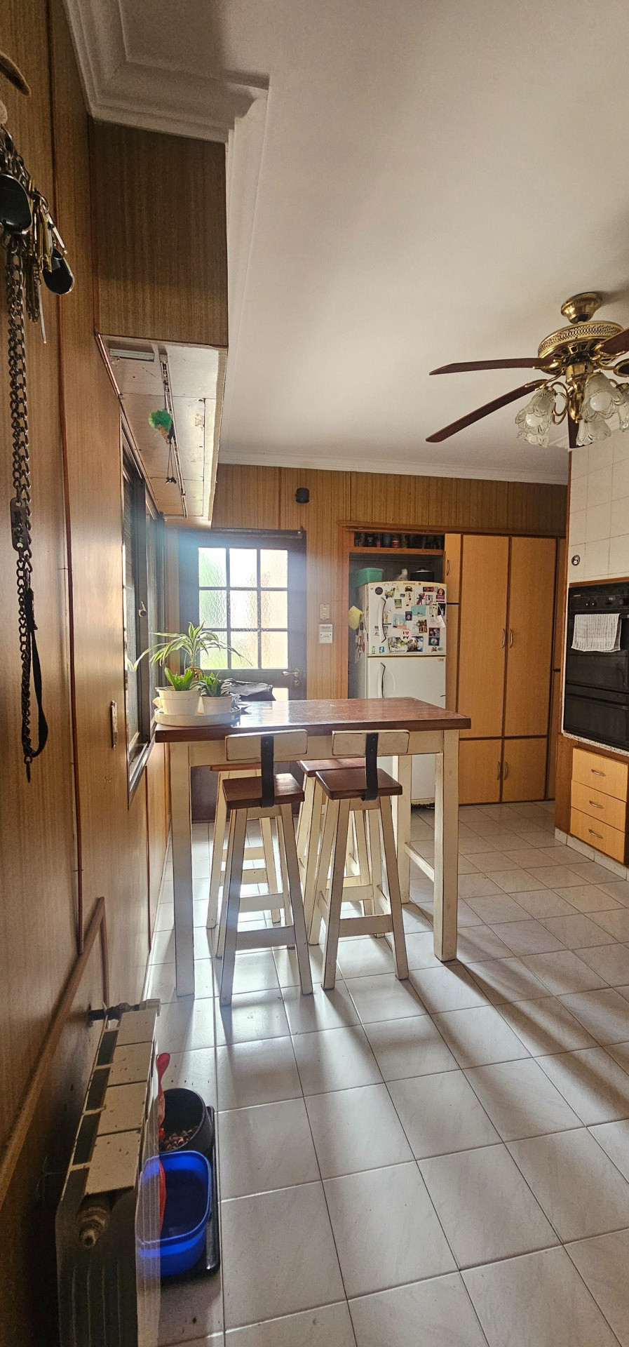 Casa en Venta en Vieytes 2300, San Roque, Bahía Blanca - Bahía Blanca Propiedades | SITIO OFICIAL l